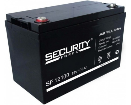 Security Force SF 12-100